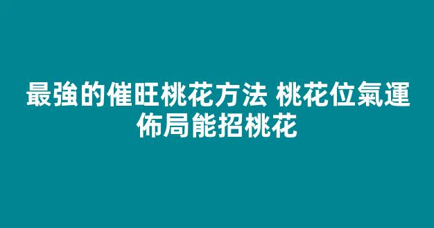 最強的催旺桃花方法 桃花位氣運佈局能招桃花